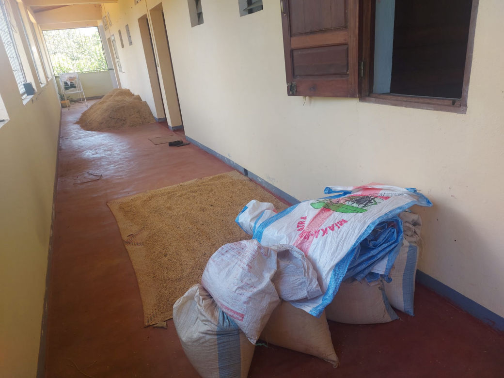 Progetto risaie - Ankaramibe